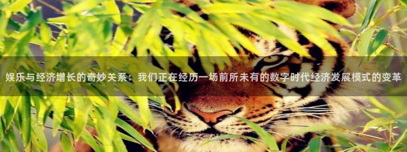 恒盛娱乐地址